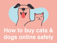 Friday Ad Animal Welfare Alliance - Friday-Ad
