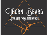 Thornbeard - Wightbay.com