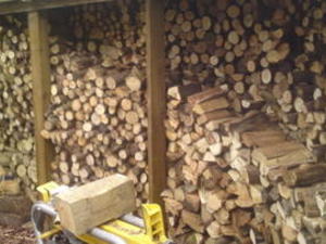 LOGGING-LOG SPLITTING SERVICE-TREE cutting services, ash-services
