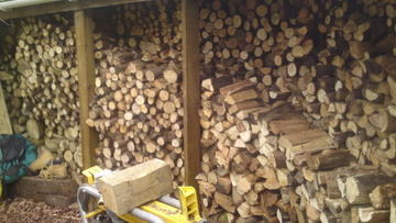 LOGGING-LOG SPLITTING SERVICE-TREE cutting services, ash-services