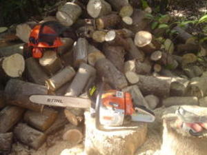 LOGGING-LOG SPLITTING SERVICE-TREE cutting services, ash-services Gardeners and Landscapers in Ryde