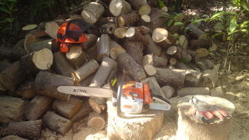 LOGGING-LOG SPLITTING SERVICE-TREE cutting services, ash-services Gardeners and Landscapers in Ryde