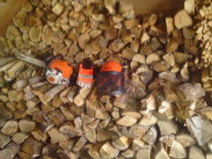 LOGGING-LOG SPLITTING SERVICE-TREE cutting services, ash-services in Ryde