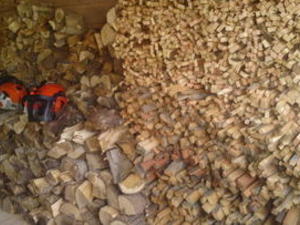 LOGGING-LOG SPLITTING SERVICE-TREE cutting services, ash-services in Ryde