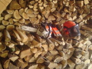 LOGGING-LOG SPLITTING SERVICE-TREE cutting services, ash-services in Ryde
