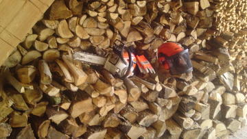 LOGGING-LOG SPLITTING SERVICE-TREE cutting services, ash-services in Ryde