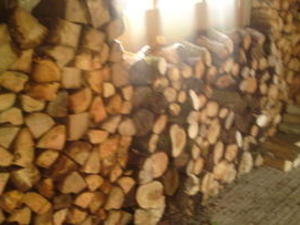 LOGGING-LOG SPLITTING SERVICE-TREE cutting services, ash-services in Ryde
