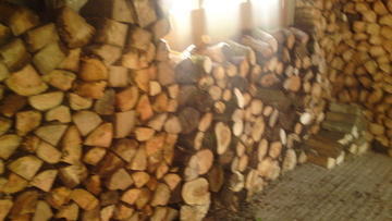 LOGGING-LOG SPLITTING SERVICE-TREE cutting services, ash-services in Ryde