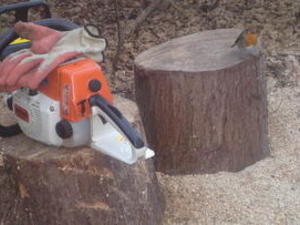 LOGGING-LOG SPLITTING SERVICE-TREE cutting services, ash-services Gardeners and Landscapers