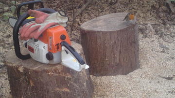LOGGING-LOG SPLITTING SERVICE-TREE cutting services, ash-services Gardeners and Landscapers