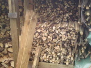 LOGGING-LOG SPLITTING SERVICE-TREE cutting services, ash-services in Ryde