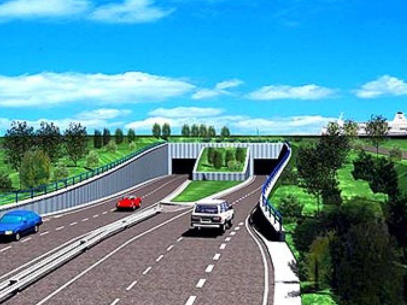 Isle of wight fixed link campaign  in Cowes