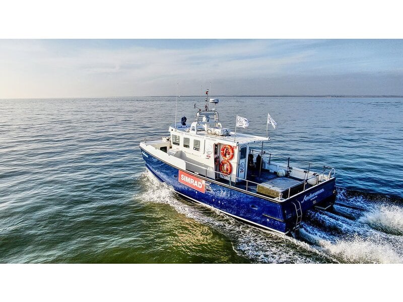 REBEL ANCHORMAN AVAILABLE FOR CHARTER In Ryde Wightbay rebel-anchorman-available-for-charter-in-ryde-wightbay