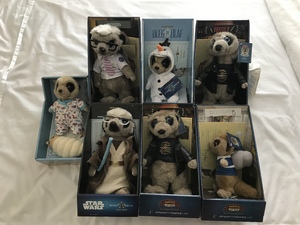 Meerkats x 7 in Shanklin
