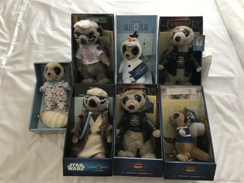 Meerkats x 7 in Shanklin