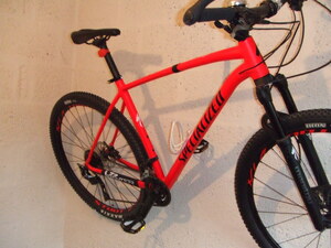 SPECIALIZED MOUNTIAN BIKE  ( LARGE ADULT ) in Ryde