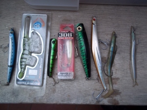 Lures grand catcher in this lot in Cowes