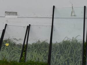 Various sizes 6 mm armoured glass with black anodised extruded aluminium edging. in Sandown