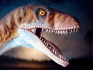 Dinosaur Isle Museum in Sandown