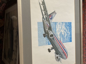 American Airlines Picture in Newport