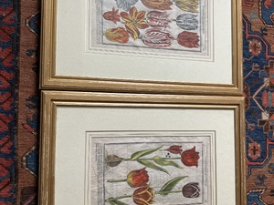 Pair of Tulip Prints in Newport