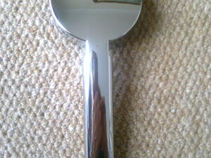 Shower Head in Ventnor