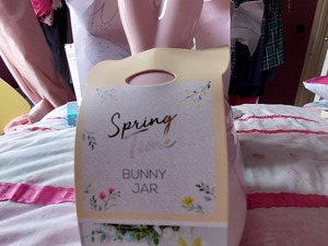 Bunny cookie jar in Isle Of Wight
