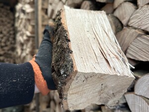 Hardwood Logs for Log burners & Open fires. in Newport