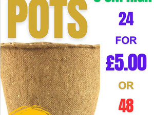 FIBRE PLANT POTS – 8cm dia x 8cm high – NEW – 4 for £1 - 24 for £5.00 in Sandown