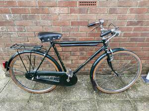 21 Inch....RALEIGH SUPERBE in Ryde