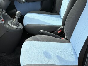 Fiat Panda Sandown