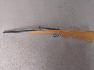Air guns wanted  in Shanklin