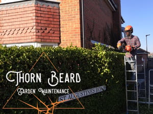 Hedge Cutting in East Cowes