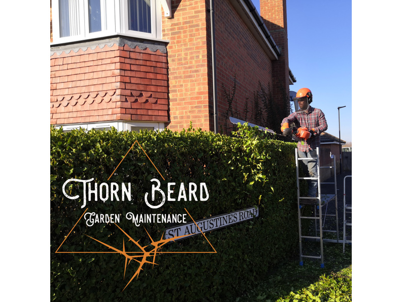 Hedge Cutting in East Cowes