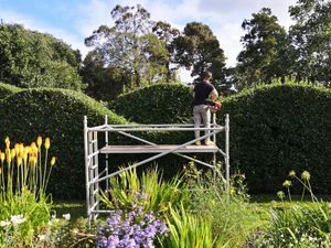Hedge Cutting Gardeners and Landscapers in East Cowes