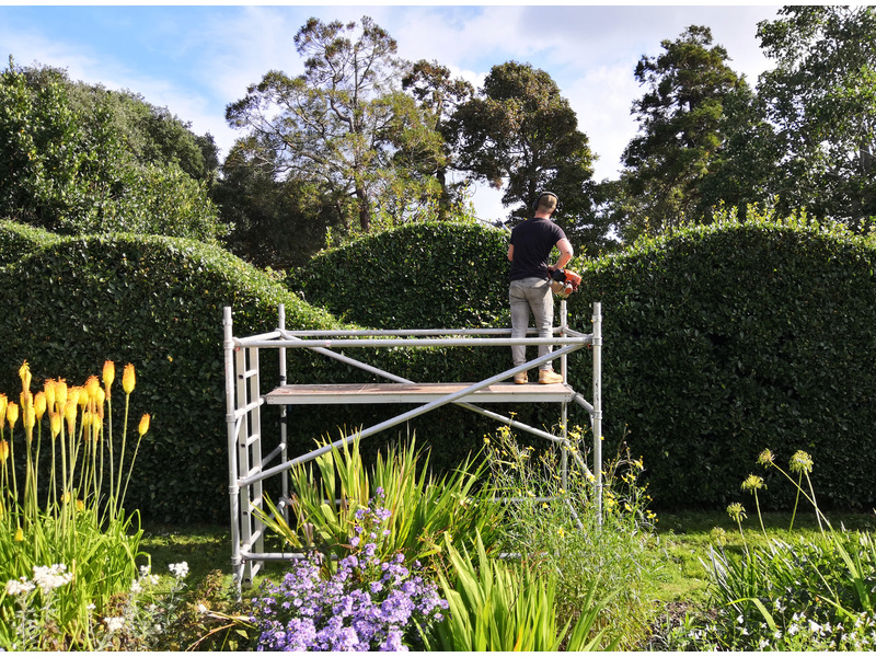Hedge Cutting Gardeners and Landscapers in East Cowes
