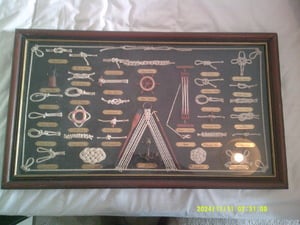 Marine knots picture in Ventnor