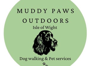 Dog walker Available  in Newport For Sale