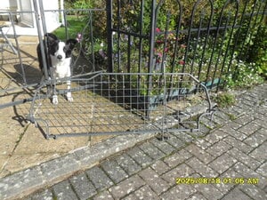 Dog guard for Skoda Yeti S U V   in Sandown For Sale
