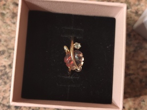 Pandora ring and pendant set.