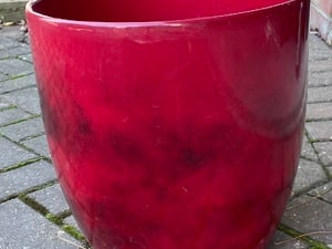 Red Plant Pot  in Shanklin
