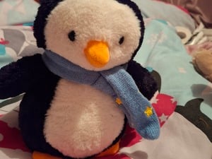 Cuddly christmasy penguin in Ryde