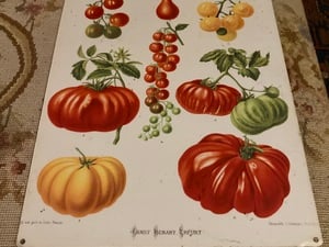 Vintage Metal Sign of Tomatoes  in Newport