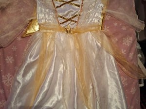 Angel costume  in Ryde