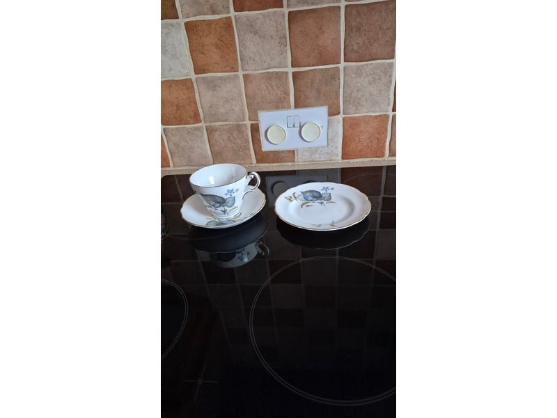 18 piece Regency bone China tea set 1970 in Sandown
