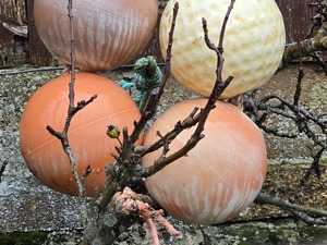 Buoys in Shanklin