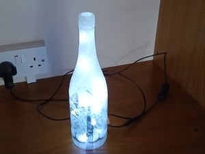 Cat bottle lamp in Newport