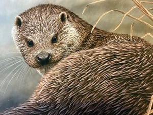 OTTER. A Limited Edition Print of an Oil Painting by Robert E. Fuller in Cowes