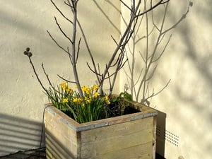 5 x quality, large, handmade planters  in Cowes