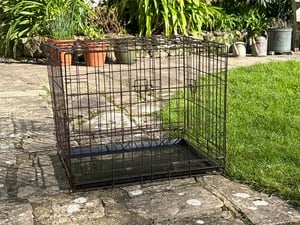 Medium dog cage and cover (for a good nights sleep!) in Ventnor For Sale